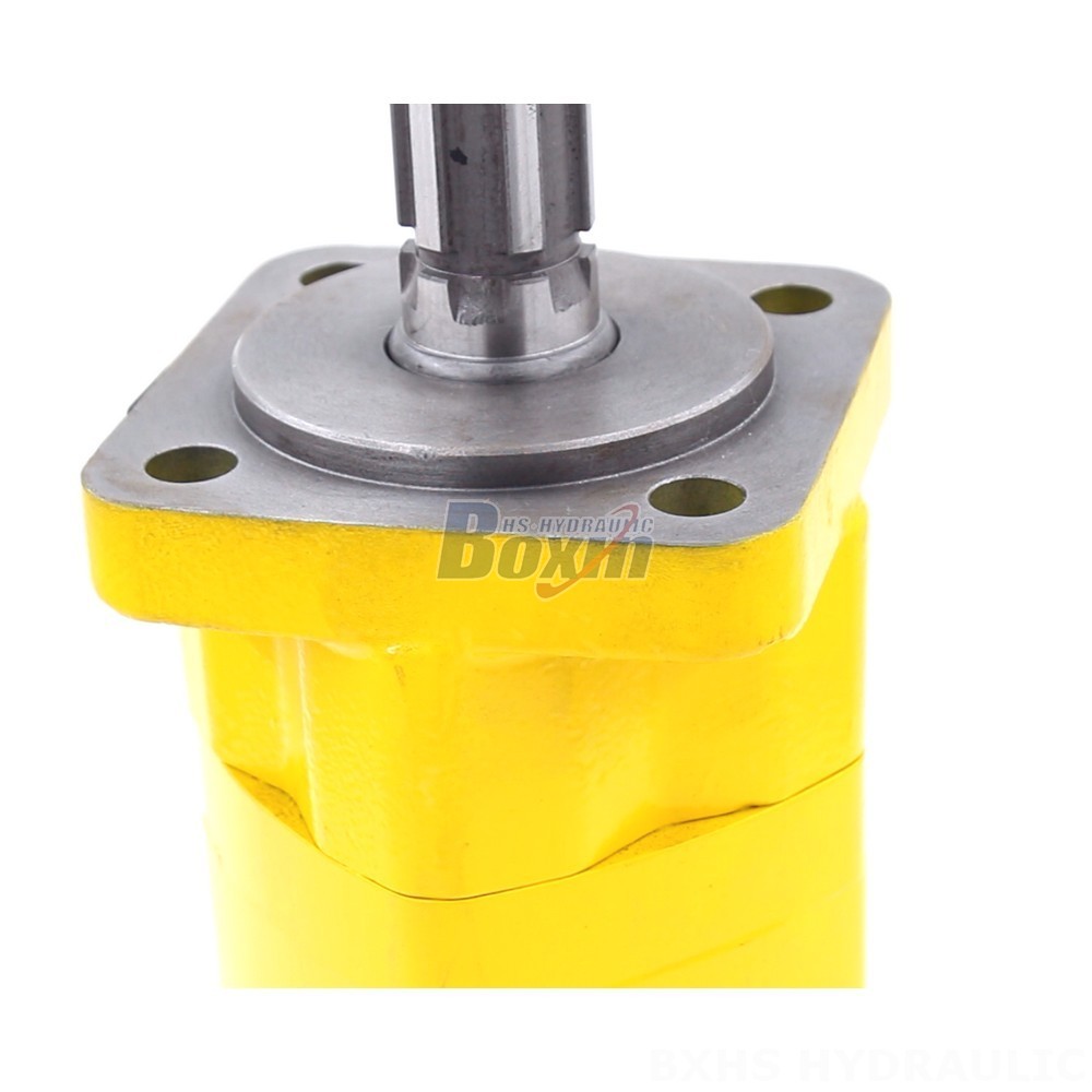 BM5 Cycloid Hydraulic Motor-2 100 cc/r 75 Lpm - Factory Direct detail image